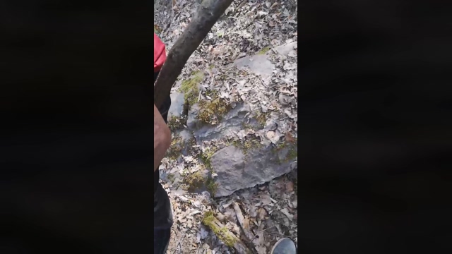hairycockxxx  17-04-2022